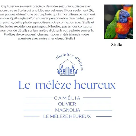 Le Meleze Heureux ברוחלטה