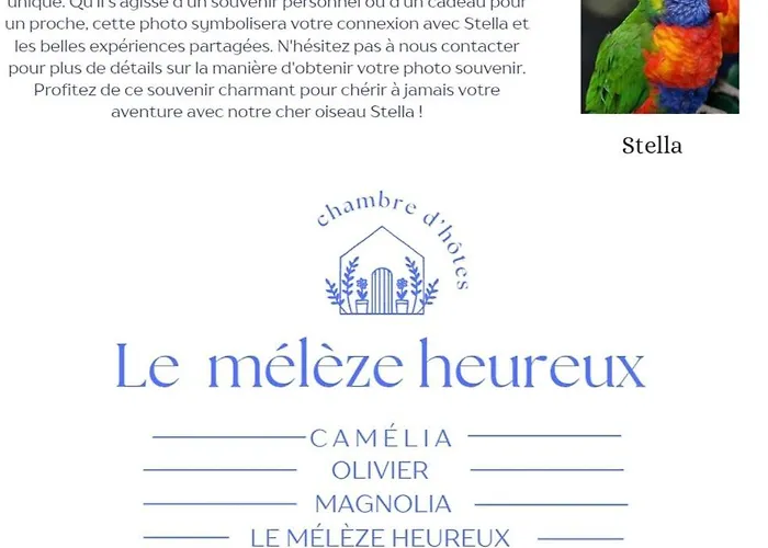 Le Mélèze Heureux Brugelette